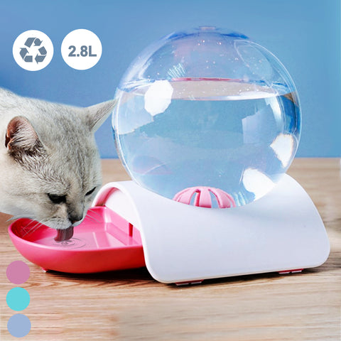 Cat Dog Water Fountain